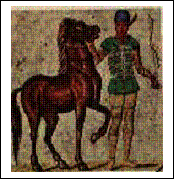 Casella di testo: